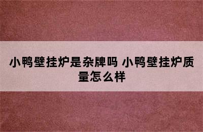 小鸭壁挂炉是杂牌吗 小鸭壁挂炉质量怎么样